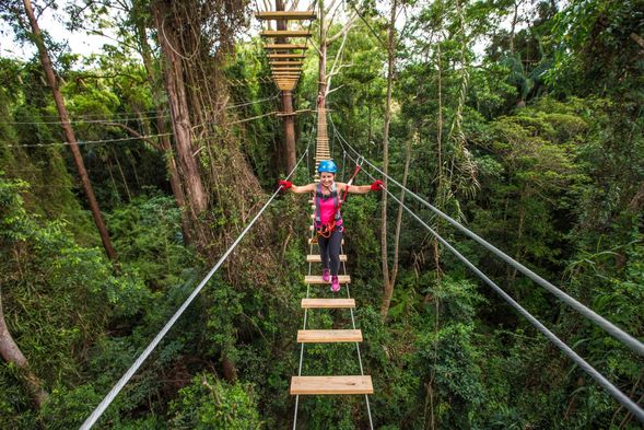 園區樹冠層探險及漫步吊橋