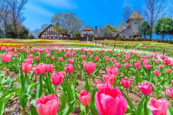 岡山森林公園德國森林