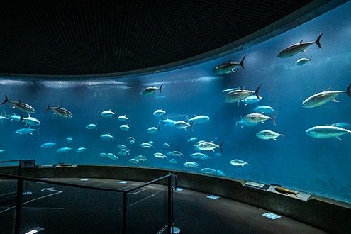 葛西臨海水族園
