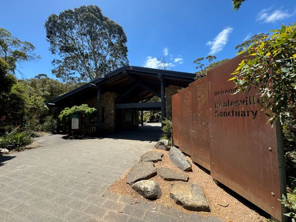 希爾斯維爾野生動物園)
以澳洲原生動物保育為主題的知名野生動物園,可近距離觀賞無尾熊、袋鼠、袋熊及猛禽等,並了解保育與復育工作,適合親子及動物愛好者。