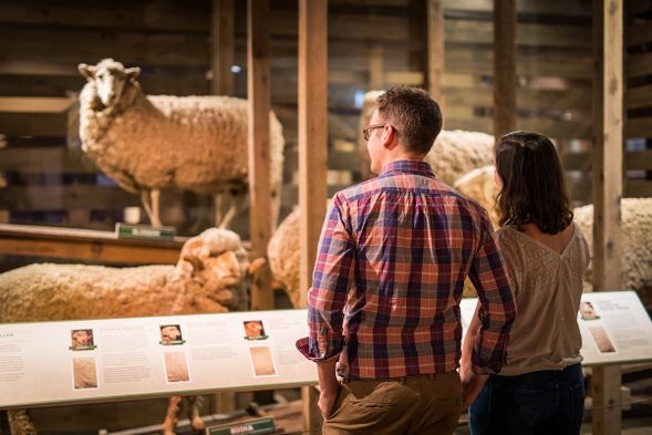 羊毛工廠博物館(自費)
了解澳洲羊毛產業歷史,體驗早期工業文化。