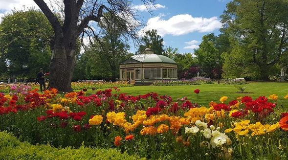 巴拉瑞特植物園
位於維多利亞州 Ballarat 市區,緊鄰著名的 溫多瑞湖(Lake Wendouree),是當地最具代表性的歷史花園之一。植物園始建於 1857 年,至今已有超過 160 年歷史,融合英式古典園藝設計與自然湖畔景觀,是 Ballarat 最受歡迎的休閒與散步地點。