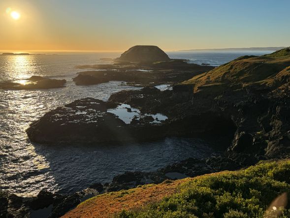 The Nobbies 為菲利普島著名海岸觀景區,擁有壯麗的海蝕地貌與開闊海景。沿著木棧道步行,可遠眺海浪拍打岩岸的自然景觀,天氣良好時更有機會看到海豹棲息的離岸岩石群,是結合自然風光與生態觀賞的代表性景點。