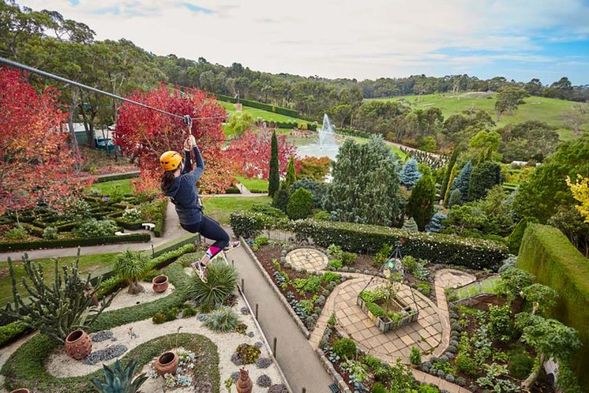 Enchanted Adventure 魔法冒險花園位於摩寧頓半島,佔地約10公頃,將自然花園與戶外遊樂設施結合。園內有主題迷宮、花園步道、大型滑梯及天空步道,一家大小可按各自喜好探索。喜歡挑戰的旅客,亦可於現場加購 Tree Surfing 樹上繩索攀爬體驗。