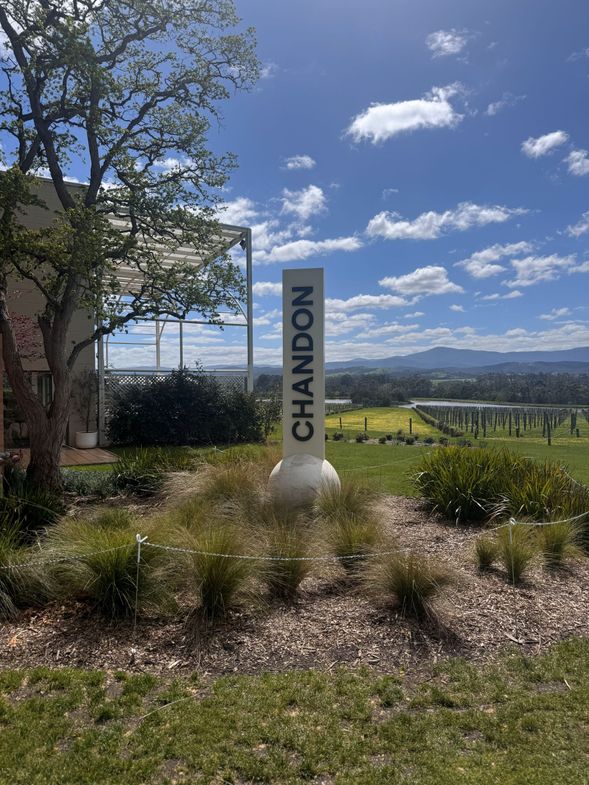 Domaine Chandon
以氣泡酒聞名的亞拉河谷代表性酒莊,建築設計現代,坐擁葡萄園景觀。適合拍照留念及了解氣泡酒釀造文化。
*品酒及餐飲費用自理
*品酒僅限 18 歲或以上旅客