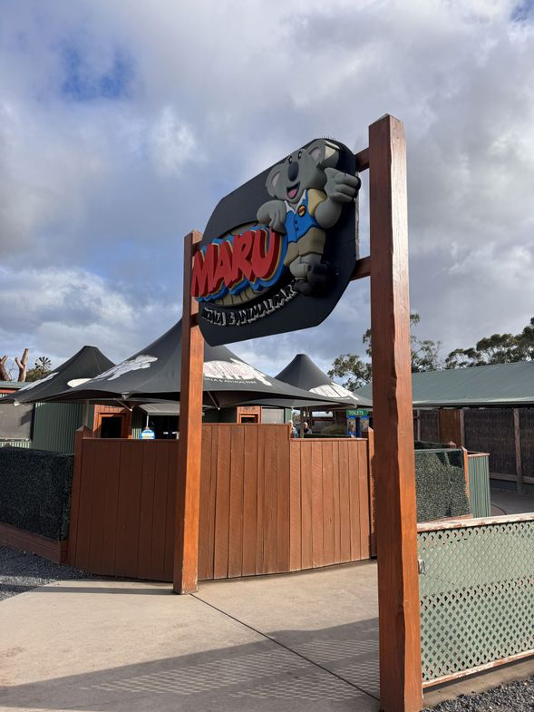 Maru 動物園內可近距離觀察澳洲代表性動物,其中「微笑袋鼠」深受旅客喜愛。園區內的袋鼠性格溫馴,常於開放區域自由活動,旅客可在安全距離內觀賞其可愛模樣,感受澳洲本地野生動物的自然魅力,是親子旅客及動物愛好者不容錯過的體驗之一。
