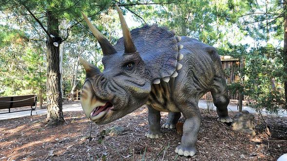 恐龍世界
恐龍主題園區,小朋友最愛探索體驗