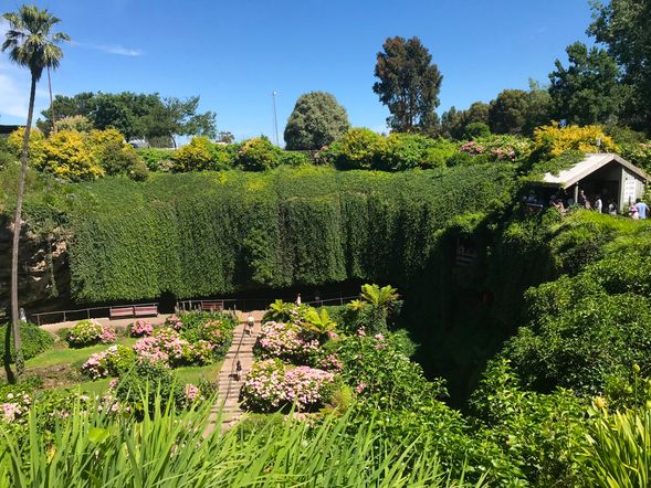 天井花園(Umpherston Sinkhole)
由天然石灰岩塌陷形成的下沉花園,是 Mount Gambier 最具代表性的自然景觀。