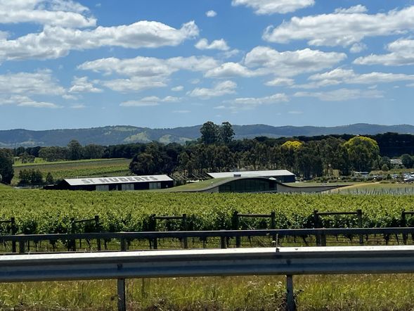St Hubert’s Cellar Door|午餐
位於亞拉河谷的酒莊餐廳,環境舒適,可於葡萄園氛圍中享用午餐。