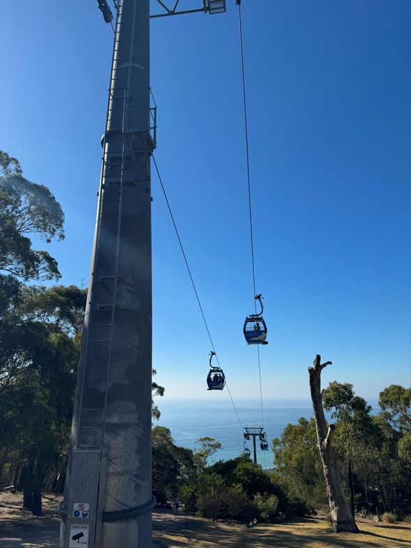 Arthur's Seat亞瑟王山頂
位於摩寧頓半島的著名高地景點,可俯瞰菲利普港灣及周邊海岸線景色。天氣晴朗時視野遼闊,是欣賞自然風光及拍照留念的理想地點。行程通常安排短暫停留,讓旅客於觀景平台自由活動。