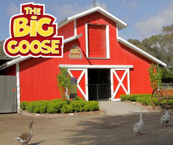 The Big Goose 農場樂園
親親小動物與農場互動,適合家庭旅遊