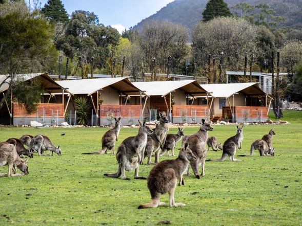 12:30 抵達格蘭坪地區/午餐