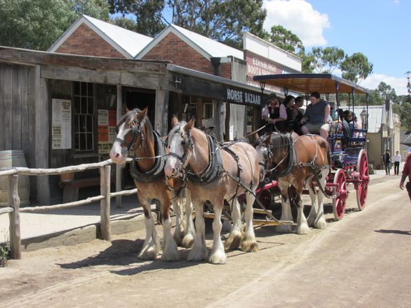 抵達維多利亞州著名淘金城市 Ballarat 巴拉瑞特,參觀當地最具代表性的歷史景點 Sovereign Hill 疏芬山礦場。這座重現十九世紀淘金時代的戶外歷史博物館,讓旅客彷彿走進當年淘金熱潮的年代。
重點體驗包括:
• 漫步復古淘金小鎮街道,欣賞十九世紀歷史建築與街景
• 觀賞馬車巡遊及傳統工藝示範,感受淘金年代生活氛圍
• 親身體驗淘金活動,尋找屬於自己的金砂
• 參觀各類歷史展館與特色商店,了解維州淘金文化故事
• 園區內設有咖啡店與餐廳,可於小鎮內自由安排午餐
園區停留約 3 至 3.5 小時,讓旅客從容漫遊疏芬山礦場,深入體驗巴拉瑞特的淘金歷史文化。