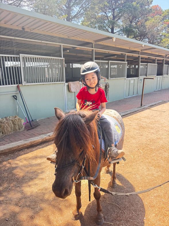 抵達農場騎馬體驗活動,在專業人員帶領下騎乘溫馴馬匹,沿著農場小徑慢騎,體驗澳洲農場生活及自然景觀。