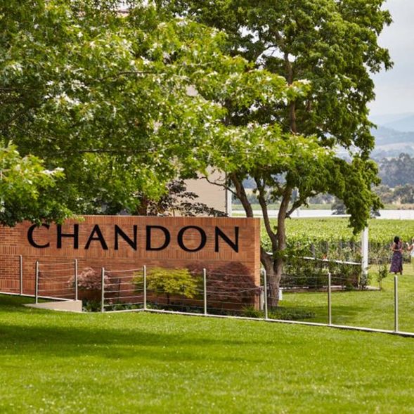 Domaine Chandon
Domaine Chandon 是亞拉河谷具國際知名度的氣泡酒酒莊,隸屬於法國香檳世家 Moët & Chandon,CHANDON Australia 於 1986 年在 Yarra Valley 成立。酒莊延續法式氣泡酒釀造傳統,以優雅細緻的 méthode traditionnelle 氣泡酒見稱,並結合現代建築設計、葡萄園景觀與 Yarra Ranges 遠景,是亞拉河谷極具代表性的酒莊之一。
旅客可自由參觀酒莊空間;品酒、下午茶或其他酒莊體驗可按現場酒單/餐牌另行自選,費用另計。