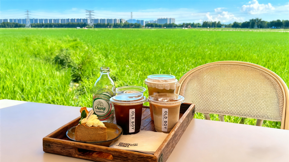 隨後前往【中山崖口村】這裡以廣闊的稻田景觀聞名,在田園風光中享受一杯咖啡,感受鄉村的愜意時光。