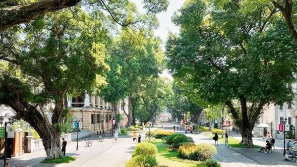 廣州酒店專車接前往番禺【沙灣古鎮】遊覽,欣賞嶺南特色建築,推薦特色甜品沙灣薑撞奶(車程約1小時)
*午餐推薦:【古镇喜院-院子裡的番禺菜】(園林式風格,品嘗特色番禺菜,推薦沙灣碌鵝、蓮藕三寶)
13:00-15:00:前往【海心沙】,與廣州知名地標小蠻腰-廣州塔合影留念(車程約1小時)
15:00-18:00:前往遊覽【粤海关、沙面】,了解歷史租界地文化,欣賞各式歐式建築
遊覽完畢,晚餐後送回酒店