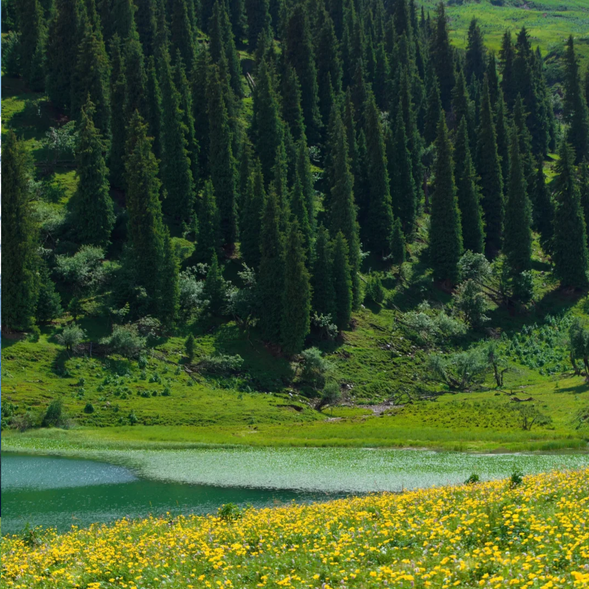 【仙女湖】位於唐布拉草原的腹地,是一片隱秘於群山之中的靜謐湖泊。湖水清澈見底,倒映著藍天白雲與遠處的雪山,宛如仙境一般。相傳湖泊得名於一位美麗的哈薩克姑娘的故事,為這片湖泊增添了浪漫的色彩。湖邊綠草如茵,湖岸寧靜祥和,適合徒步漫遊或靜坐欣賞自然之美。晨曦或黃昏時分,湖面倒映著霞光,景色尤為迷人。
今天的行程充滿詩意與靜謐,是遠離喧囂、沉浸於自然的最佳時刻。傍晚,我們將留在唐布拉草原附近,感受草原夜晚的寧靜與遼闊。