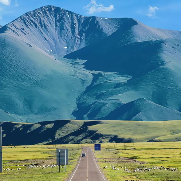 今天,我們將從【唐布拉草原】出發,沿著壯麗的【獨庫公路】穿越天山,欣賞一路上變幻多端的自然景觀,最終返回【烏魯木齊】。這一天將是震撼心靈的旅程,體驗新疆公路旅行的精華。