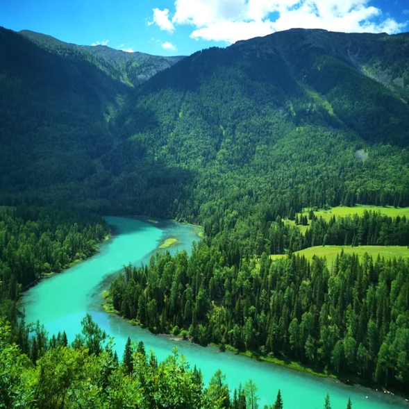 月亮灣以其獨特的河道形狀而得名,水面隨四季變化呈現不同的色彩,碧藍與翠綠交替,宛如一彎靜謐的月牙。周邊植被茂盛,湖邊的倒影與雲霧相映成趣,讓人彷彿置身童話世界。
