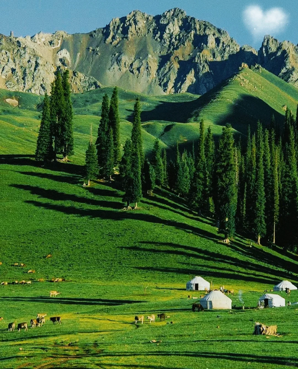 奎屯-那拉提
主要景點:那拉提草原
住宿:佰草居民宿或同級