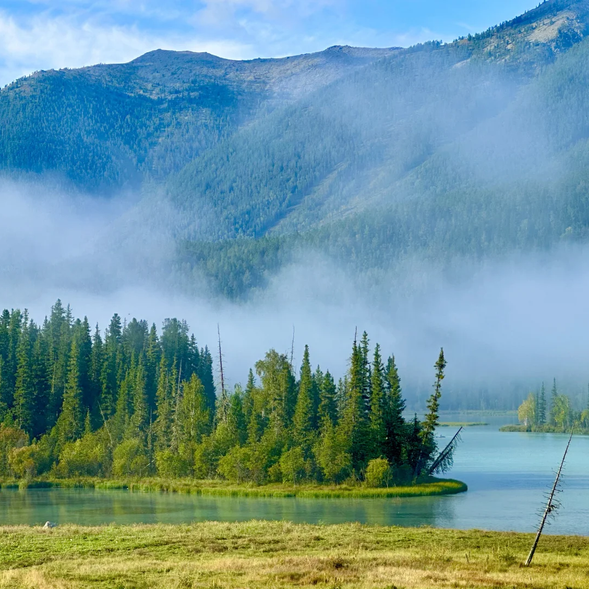 神仙灣是喀納斯的精華所在,以其靜謐的氛圍和如畫的景致吸引無數遊客。清晨時分,霧氣籠罩在水面上,宛如仙境一般,遠處的雪山倒映在湖水中,構成了一幅美不勝收的天然畫卷。