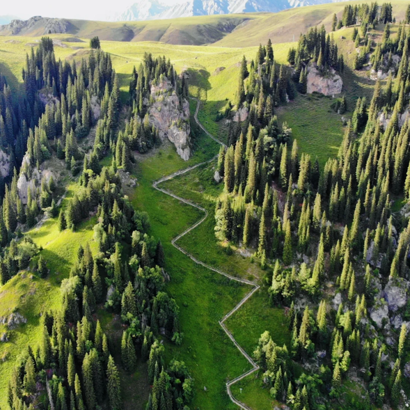 今天,我們將從【那拉提】出發,前往以壯麗草原風光聞名的【唐布拉草原】,並造訪景區內的瑰寶【仙女湖】,感受天山腳下的自然純淨與和諧之美。