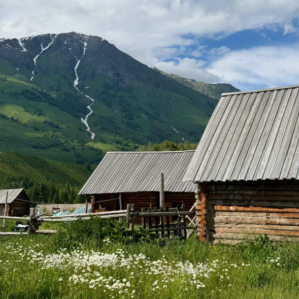【禾木村】
是最著名的圖瓦人村落之一,坐落在禾木河畔,被高山和森林環繞,以其純淨的自然環境和濃厚的民族文化而聞名。禾木村的木屋與草原、河流相映成趣,特別是在晨曦或夕陽下,整個村莊籠罩在金色的光芒中,宛如童話世界。遊客可以沿著村中的小徑漫步,或登上禾木觀景台,俯瞰整個村落和周邊的自然美景,感受寧靜與和諧的氛圍。