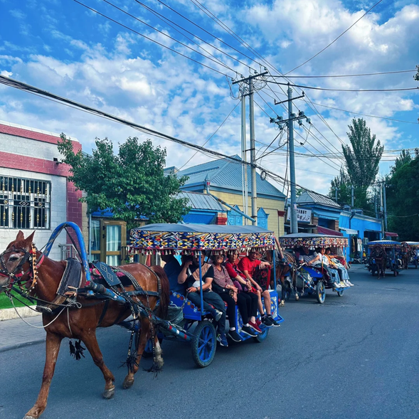 【喀贊其民俗村】是伊寧最具民族特色的社區之一,以濃厚的維吾爾族文化和色彩繽紛的建築而聞名。這裡的民居外牆被繽紛的色彩裝飾,宛如一座充滿異域風情的藝術村落。遊客可以在此漫步於小巷中,欣賞維吾爾族的傳統建築,聆聽優美的民族音樂,體驗當地居民的日常生活,感受伊犁的多元文化魅力。