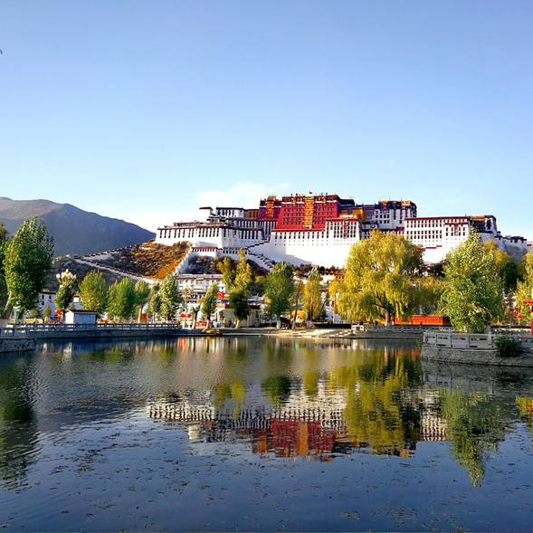 今天的行程將帶您深入探索拉薩的靈魂,感受這座高原之城深厚的歷史與濃郁的宗教氛圍。上午參觀藏式宗教建築的千古典範【布達拉宮】,下午前往藏傳佛教信仰的聖地【大昭寺】,最後漫步於藏文化的縮影【八廓街】,在歷史與現實交融的場景中,體驗日光之城的溫暖與魅力。
【布達拉宮】
世界上海拔最高的古代宮堡式建築群,是歷代達賴喇嘛的駐錫地與西藏政教的中心。走上1080級石階,踏入這座巍峨壯麗的宮殿,迎接您的是莊嚴的佛堂、絢麗的壁畫與珍貴的文物。俯瞰拉薩全景,映入眼簾的藍天、白雲與古城美景,能讓人忘卻攀爬的疲憊。
小提醒: 布達拉宮門票需提前預訂(大玩家旅遊集團會幫忙預約),並有參觀時間限制。我們將根據預約時間靈活調整行程。宮內禁止拍照,請尊重當地規範,保持安靜。