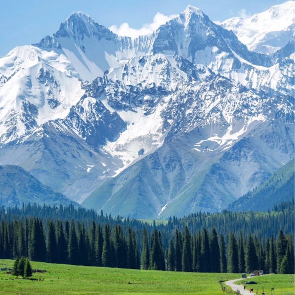 今天,我們將從【伊寧】出發,前往新疆最美的草原之一【那拉提景區】。這裡擁有壯麗的高山草原、蜿蜒的河流和連綿的雪山,是感受大自然純粹美景的最佳地點。