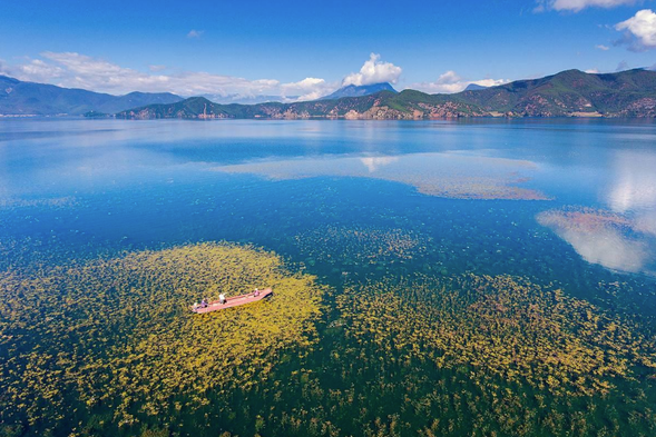 瀘沽湖:「瀘沽湖觀景台」一覽瀘沽湖全景,雲南、四川兩境慢慢打卡,里格半島觀景台,摩梭人的自由婚戀,所愛的人均是勢均力敵。