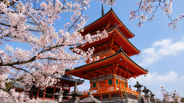 清水寺及周邊|約3小時自由活動
清水寺可欣賞著名的清水舞台、寺院建築及京都市區景色;二年坂、三年坂沿途保留濃厚的京都古街風情,分布各式町屋、甜品店、伴手禮店及餐廳。
繼續步行可前往石塀小路、祇園花見小路及八坂神社,感受京都傳統街區與神社文化。
推薦散策路線:
清水寺 → 二年坂・三年坂 → 石塀小路 → 祇園・花見小路 → 八坂神社
包含自行午餐時間,可依個人喜好及體力安排遊覽路線。
※ 清水寺門票及和服體驗等費用需自行負擔。