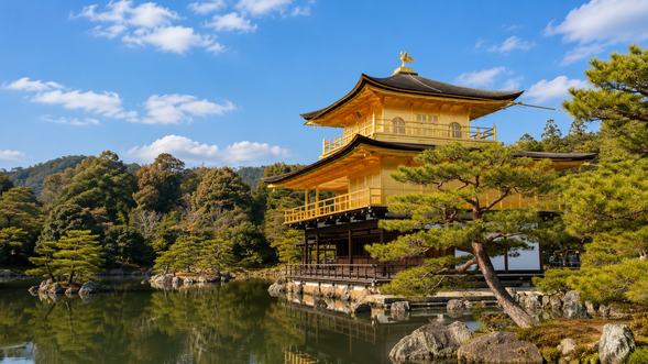 金閣寺|約60分鐘
參觀京都代表性寺院之一——金閣寺。
金閣寺正式名稱為「鹿苑寺」,最具代表性的舍利殿外牆裝飾金箔,金色建築與鏡湖池、日式庭園相互映襯,是京都極具代表性的景觀。
※ 門票費用需自行負擔。