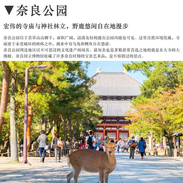 奈良公園(以行程實際包含為準)