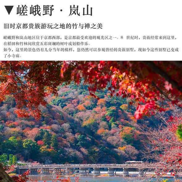 嵯峨野·嵐山(以行程實際包含為準)