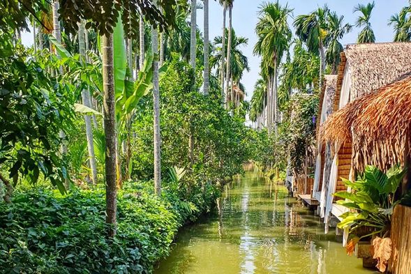 曼谷郊区热带雨林