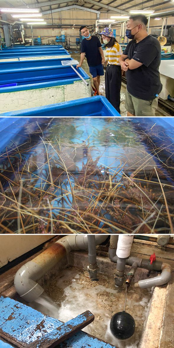 養殖場域導覽解說