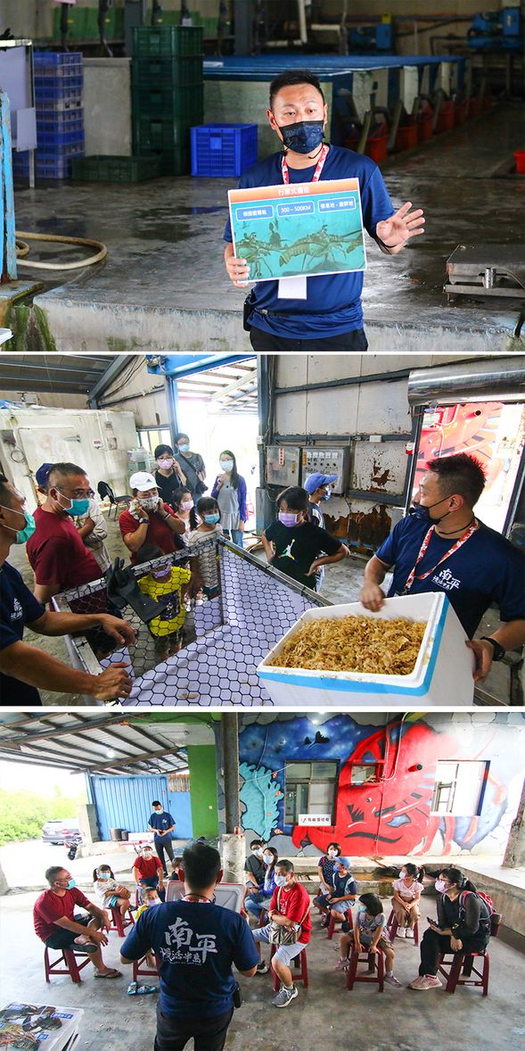 食魚教育 - 龍蝦知識Q&A