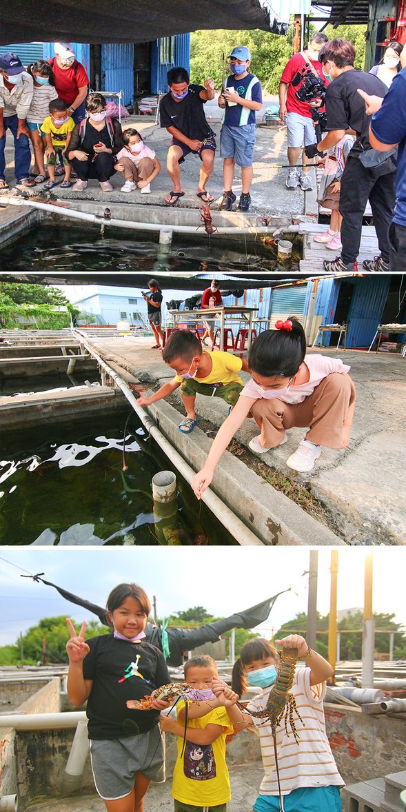 龍蝦互動體驗(抓蝦&釣蝦)