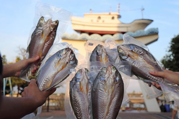 活動結束-真空包裝一夜干