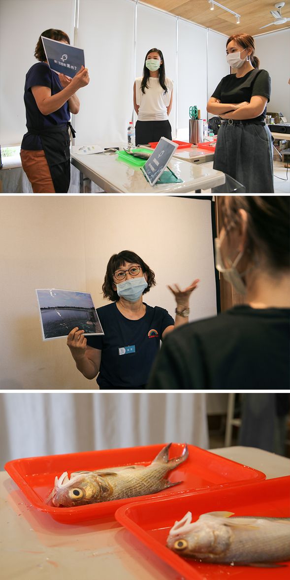 養殖產業 & 午仔魚介紹