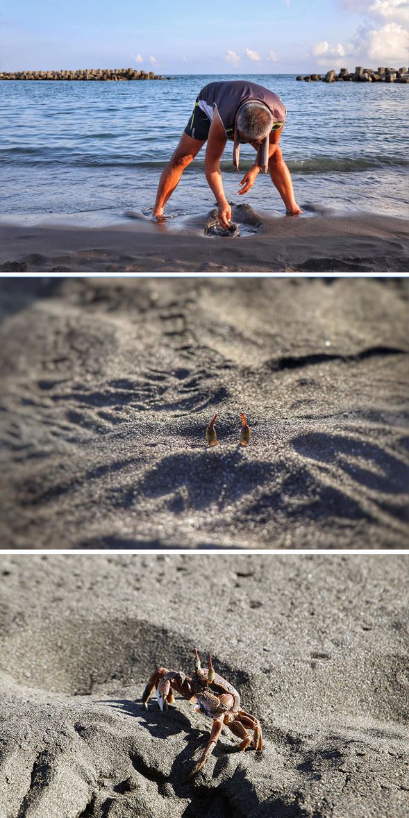 沙灘尋寶:循跡挖沙蟹