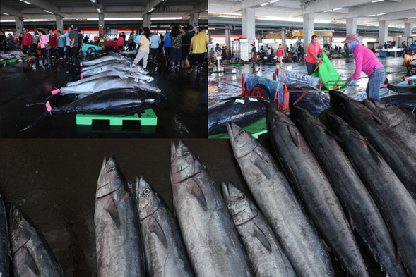 拍賣市場探險(限上午場)