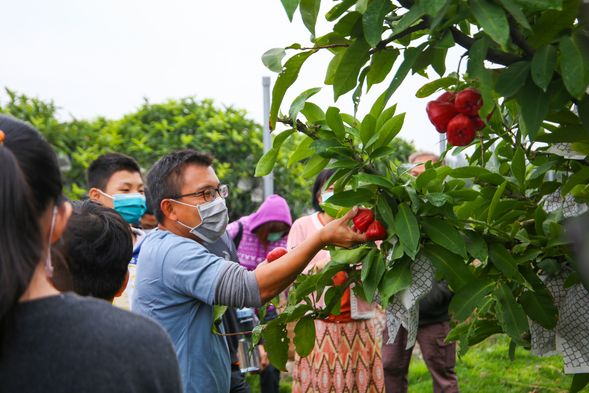 果園參觀與介紹