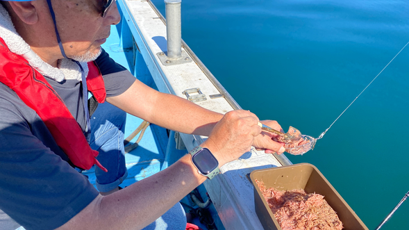 Bait your hook and try Aji fishing!