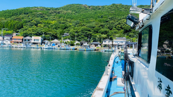 Let’s set sail for horse mackerel fishing!