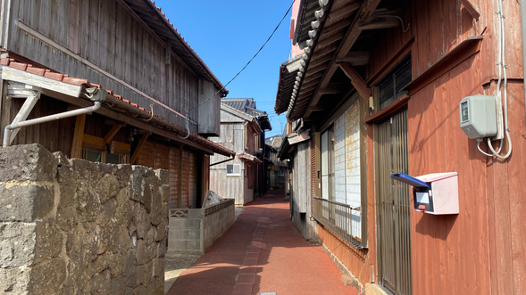 Enjoy a guided island walk with a local guide.