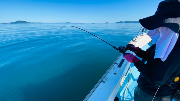 Let’s Go Aji Fishing!