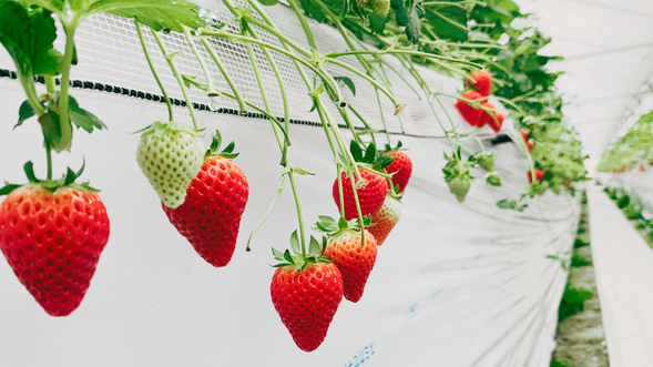 予約した時間に現地までお越し下さい♪5分前にお越しください。